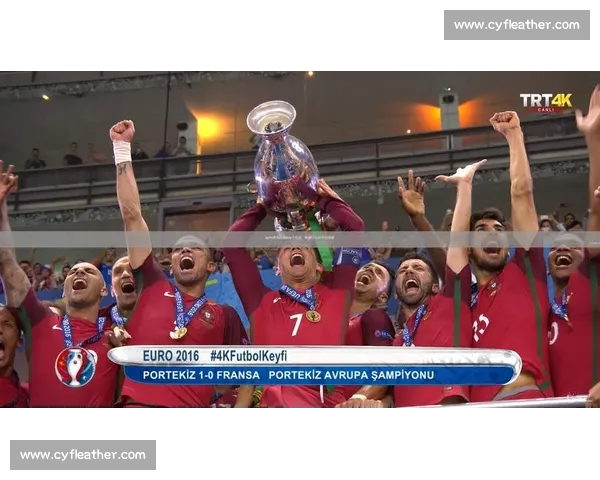 畅享高清赛事直播足球比赛APP下载指南全攻略与安装体验分享