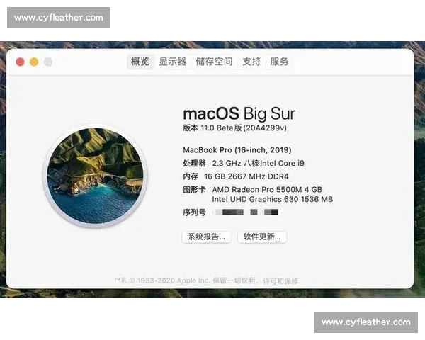 体育APP苹果版本全新体验下载指南与功能亮点深度解析推荐精选 体育APP苹果版本全新体验下载指南与功能亮点深度解析推荐精选